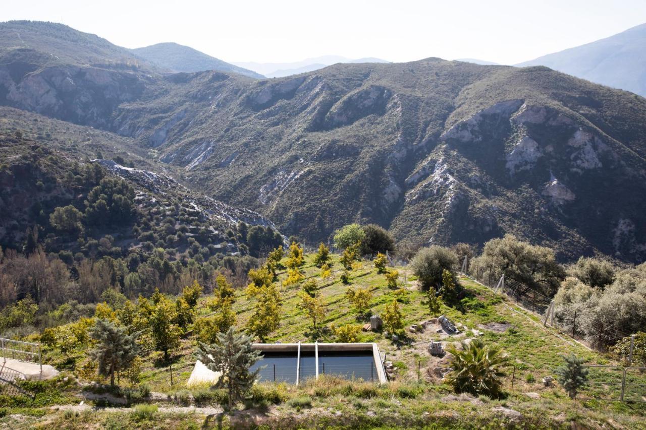 Apartment Tuguest Ii Alpujarra Carataunas